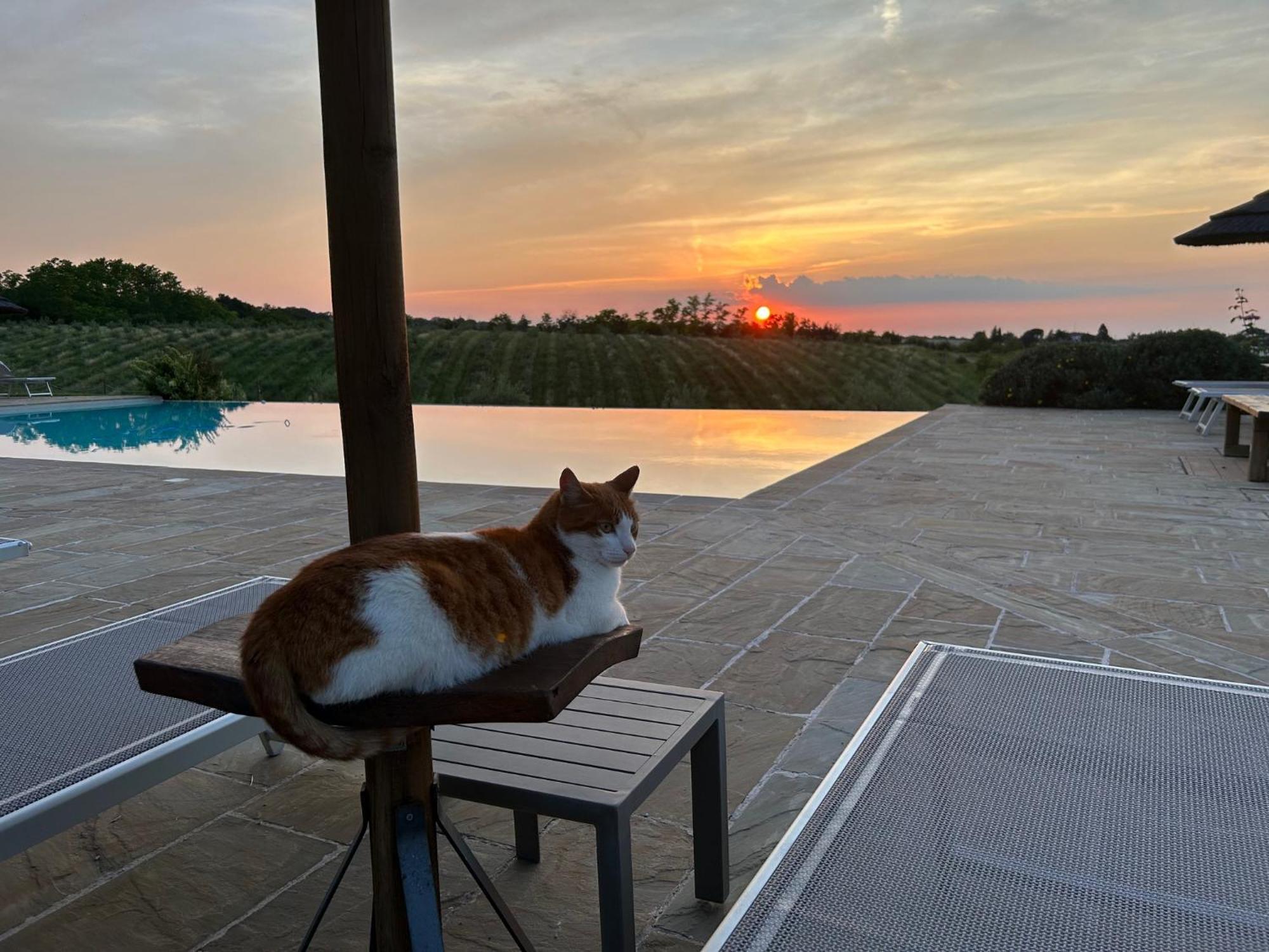 Agriturismo La Rinaldina Фаэнца Экстерьер фото