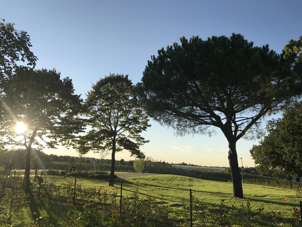 Agriturismo La Rinaldina Фаэнца Экстерьер фото