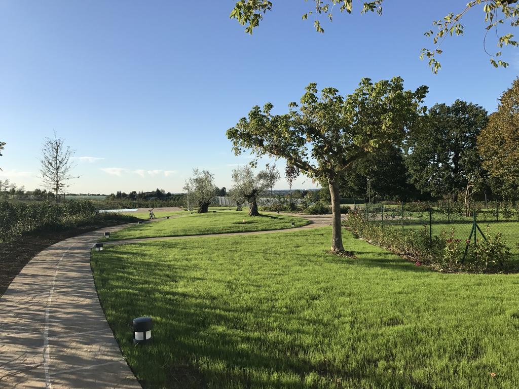 Agriturismo La Rinaldina Фаэнца Экстерьер фото