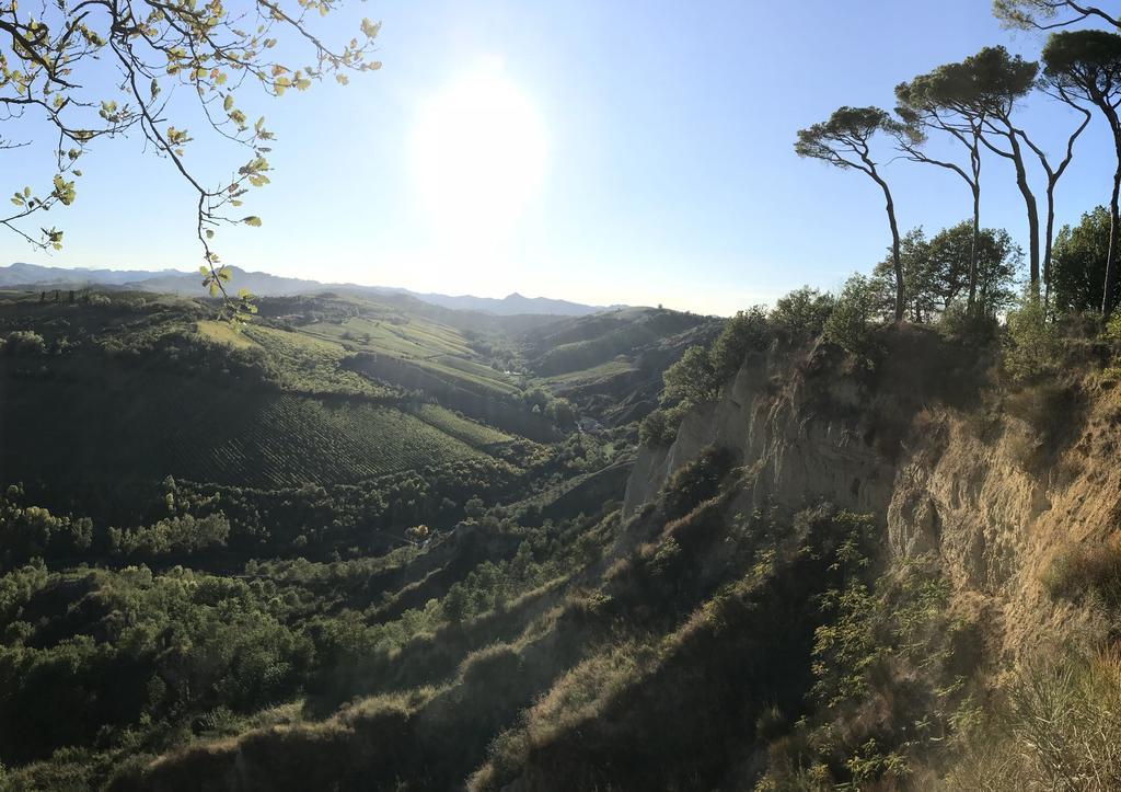 Agriturismo La Rinaldina Фаэнца Экстерьер фото