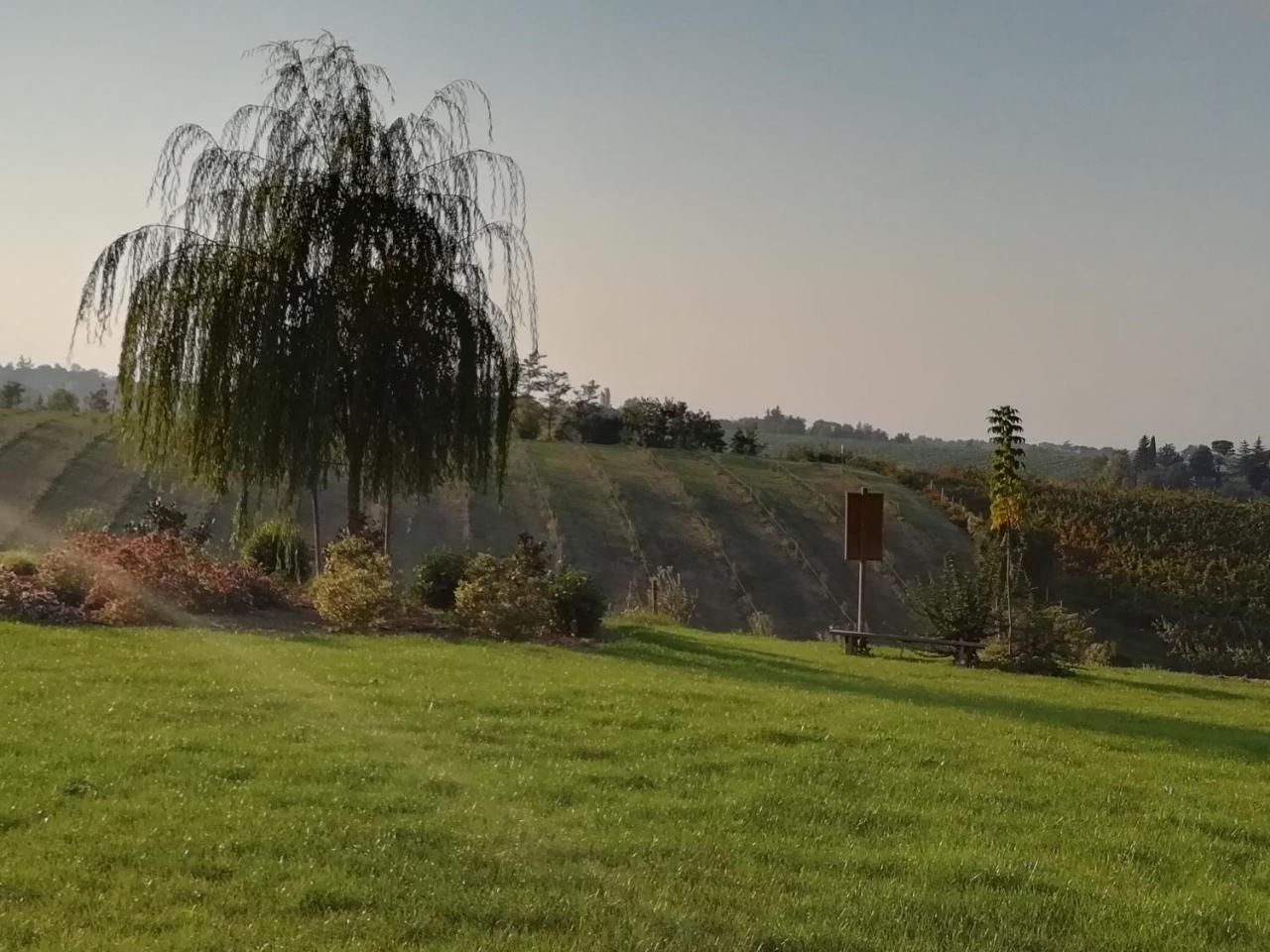 Agriturismo La Rinaldina Фаэнца Экстерьер фото